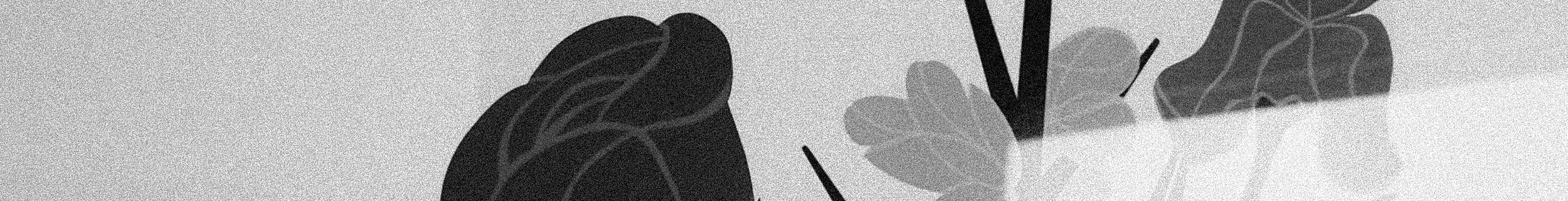 Secret Garden Collection